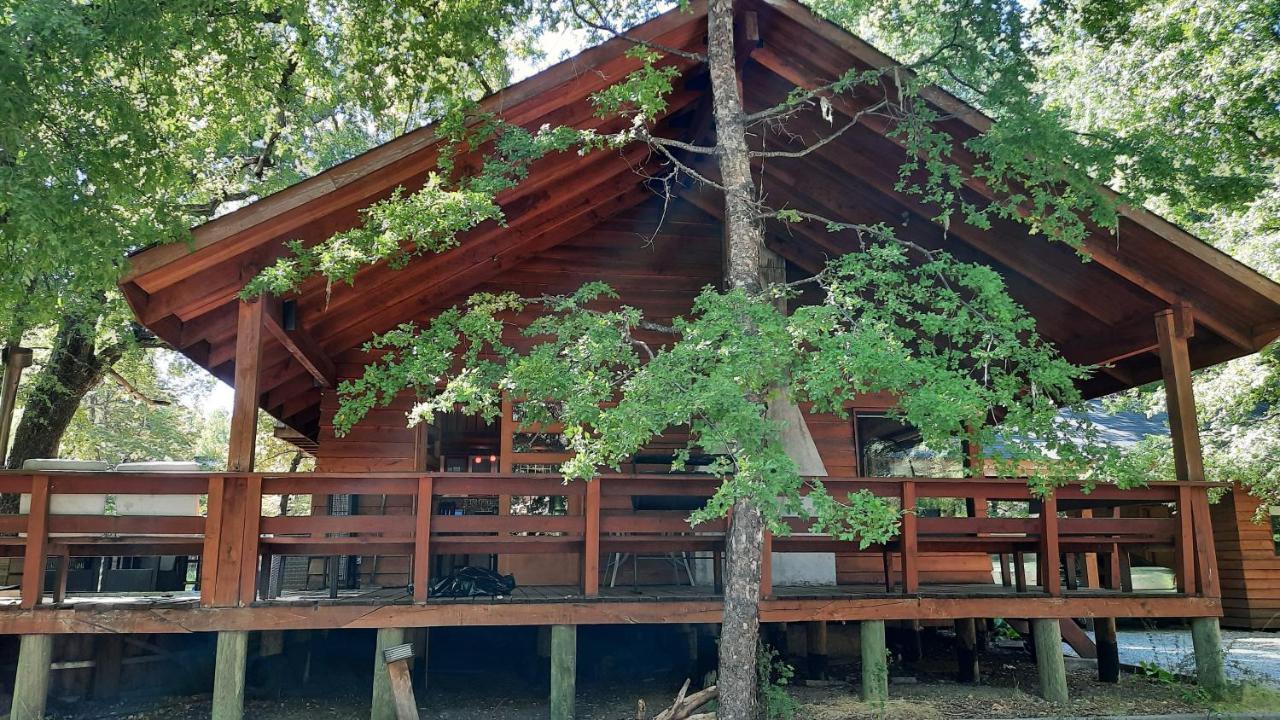 Agradable Casa Cerca De Las Termas De Chillan لاس ترانكاس المظهر الخارجي الصورة